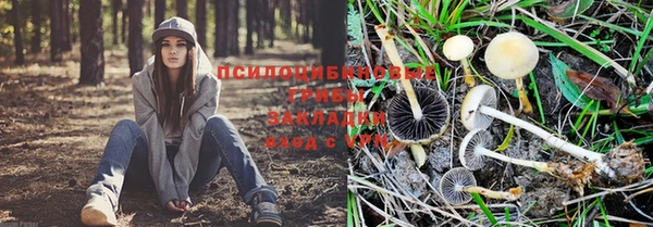 марки lsd Слюдянка