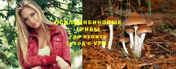 герыч Снежногорск